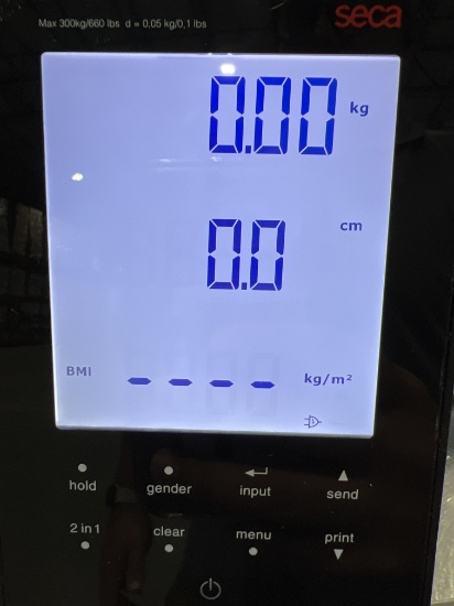 Seca Corp. 286 Patient Scale - 279850