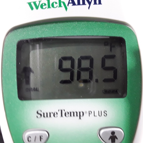Welch Allyn SureTemp Plus 690 Thermometer - 277566