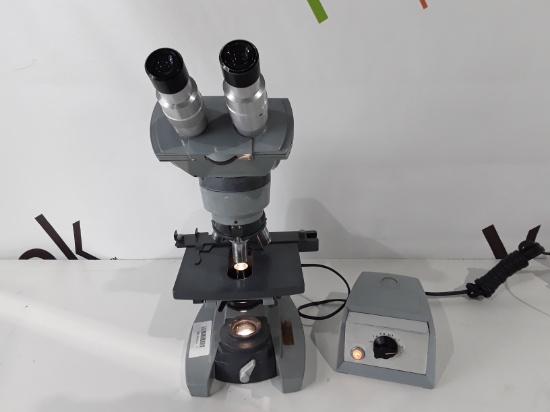 American Optical Binocular Microscope - 276023