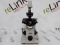 Nikon Diaphot Inverted Binocular Microscope - 421988