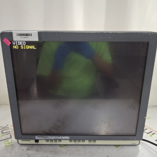 Olympus OEV191 Medical Display - 445601