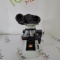 Olympus CX21 Binocular Microscope - 501822