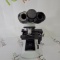Olympus CX22 LED Binocular Microscope - 501796
