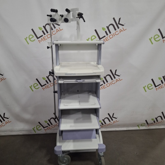 Olympus WM-N60 Mobile Endoscopy Workstation Cart - 507057