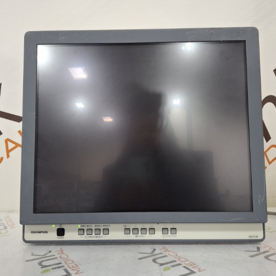 Olympus OEV191 Medical Display - 491580