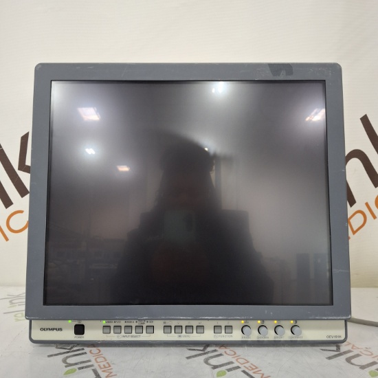 Olympus OEV191H Medical Display - 491587