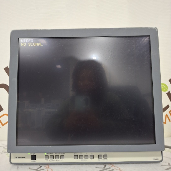 Olympus OEV191 Medical Display - 494567