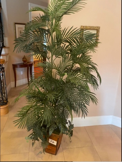PLANT 6 FT TALL IN WOOD POT