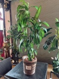 PLANT IN BASKET 5' TALL ARTIFICIAL