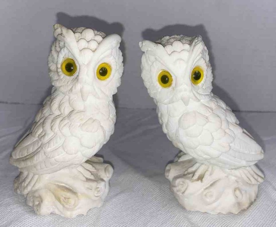 Owls Composite (some discoloration) apox 5.5"