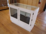 WHITE PAINTED WOOD AND GLASS DISPLAY CASE, APPROX 5' WIDE. 