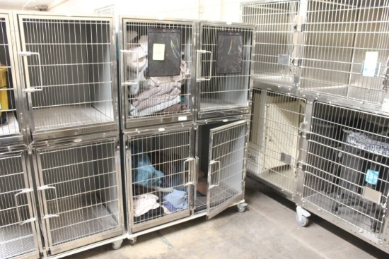 Paw Brothers 4 Bay Kennel
