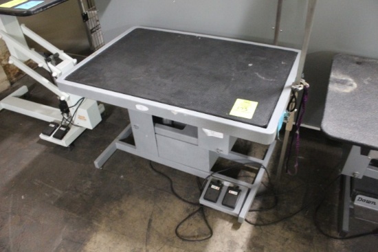 Paw Brothers Electric Hydraulic Table