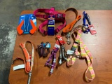 Assortment of Dog Leashes & Harnesses with Dog Toy