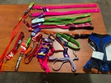 Dog collars, Leashse, and harnesses in various sizes