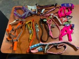Dog collars, Leashes, and Harnesses in various sizes