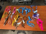 Dog collars, Leashes, and Harnesses in various sizes