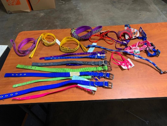 Dog collars, Leashes, and Harnesses in various sizes