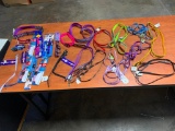 Dog & Cat Collars and leashes in various sizes