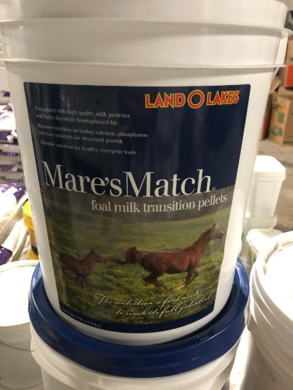 Land O Lakes 25 lbs Mare's Match foal milk transition pellets