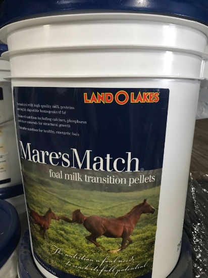 Land O Lakes Mare?s Match Foal milk transition pellets