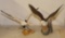 2 SHORE BIRD FIGURES BY FRANKLIN PORCELAIN