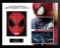 Amazing Spider-man Signed Mask Collage