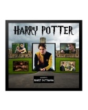 Harry Potter Cedric Diggory Collage