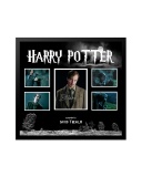 Harry Potter Remus Lupin Collage