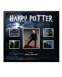 Hary Potter Collage