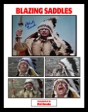Blazing Saddles Mel Brooks Indian Collage