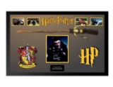 Harry Potter Framed Quidditch Brooom
