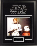 Luke Skywalker Stormtrooper Artist Series