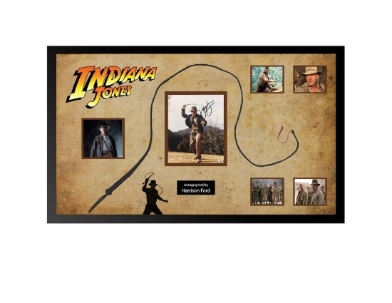 Indiana Jones Framed Whip