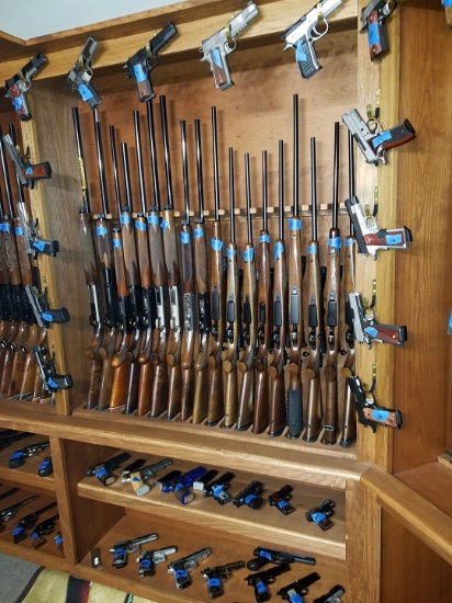 Large Gun Auction