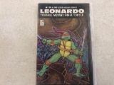 Leonardo teenage mutant ninja turtle