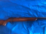 Remington model 512 bolt action 22