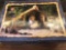 Boyds Bears eight piece nativity scene