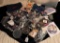 CONTAINER OF RIVET SHANKS, PATCHES & MORE