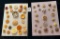 LOT OF 2 - METALIZED PLASTIC & CELLULOID BUTTON DISPLAY CARDS