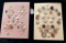 LOT OF 2 - SHELL BUTTON DISPLAY CARDS