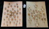 LOT OF 2 - GOLD, SILVER & CLEAR BUTTON DISPLAY CARDS