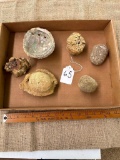 FLAT OF VARIOUS ROCKS & SEASHELL