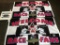 BRICKYARD 400 FLAGS AND SEAT CUSHION
