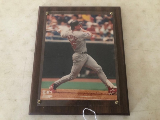 MARK McGWIRE PLAGUE