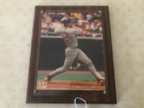 MARK McGWIRE PLAGUE