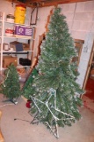 Star Light and Christmas Trees