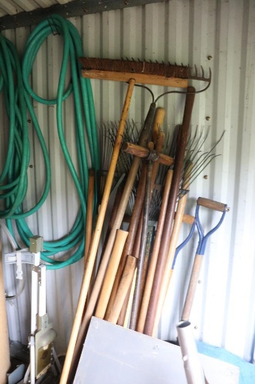 Contents of Shed