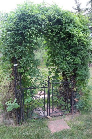 Garden Gate With Arch