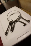 Large skeleton keys